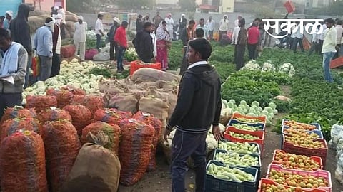 Satara Latest Marathi News