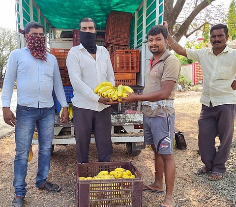 Lockdown caused banana prices to fall Still an income of Rs 4 lakh per acre