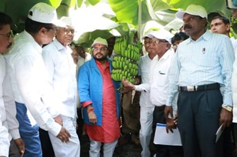 banana gulabrao patil