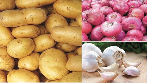 कांदा, बटाटा, लसणाच्या दरात मोठी घसरण! वाचा काय आहे भाव?