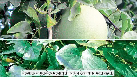 अग्र्यसंग्रह (श्रेष्ठत्व)