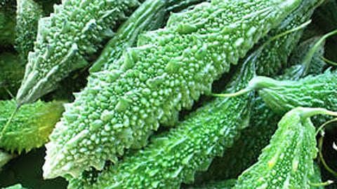 आरोग्यदायी कारले