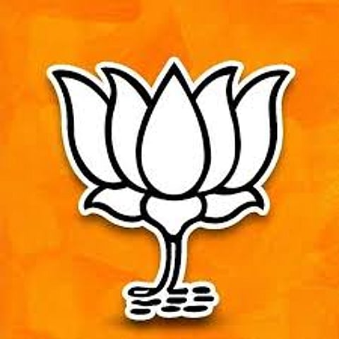 bjp1