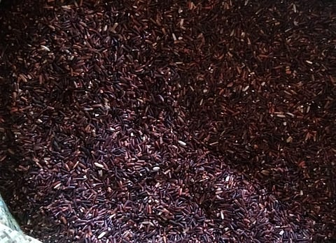 Growing demand for black rice from East Vidarbha across the country