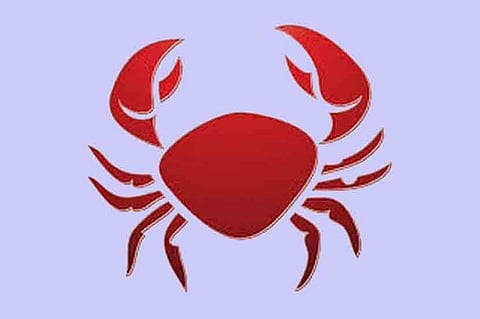 Four hundred children died of cancer in seven years cancer news