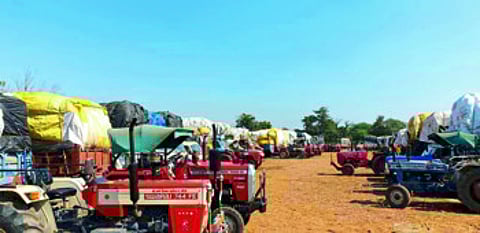 जागेच्या कमतेरतमुळे ‘सीसीआय’ने कापूस खरेदी थांबविली