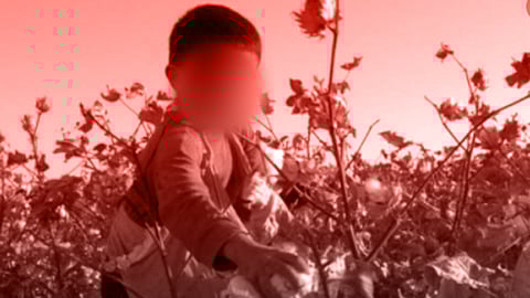 गुजरातमध्ये एक लाख बाल मजूर