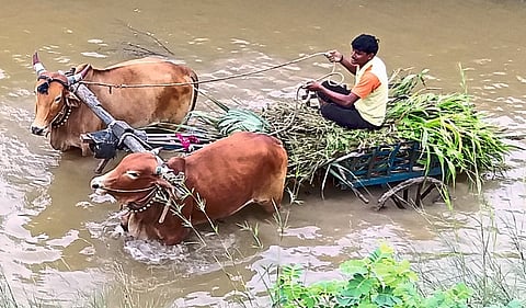 chitegaon.jpg