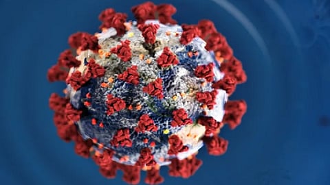 Coronavirus Kolhapur two patients