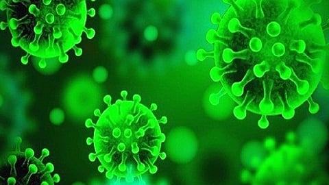 1000 and above corona patients found chiplun in ratnagiri