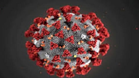 Corona to 10 people from the same company ratnagiri