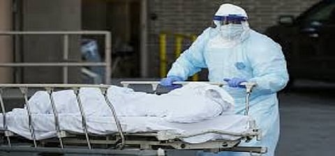 corona death new.jpg