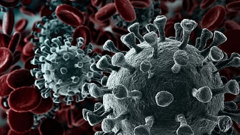 म्हणून 'त्या' पाच मुली देणार कोरोनाची अग्निपरीक्षा, जाणून घ्या अधिक...