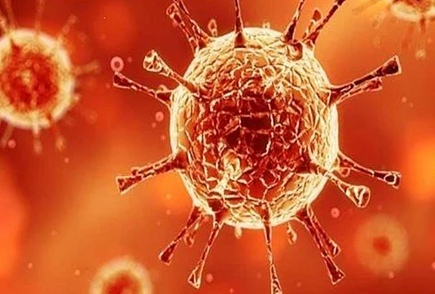 corona-virus