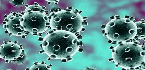 संग्रहित छायाचित्र