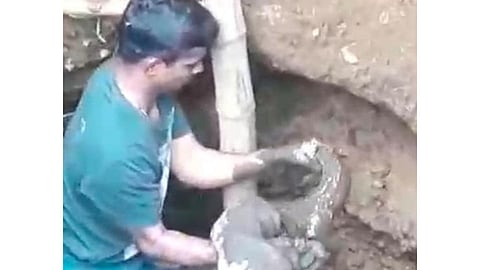 crocodile  giving life top in Chiplun state kokan marathi news