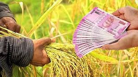 farmers who paid loan still not receive incentives in sihora of bhandara
