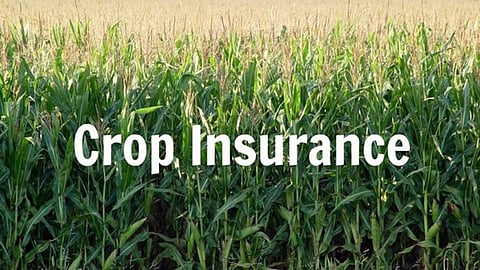 crop insurance