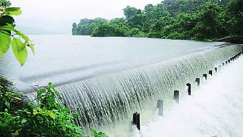 Dhamod Dam Tourism : Belgaon Marathi News