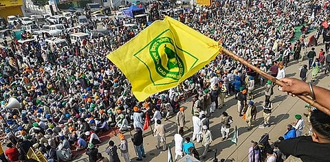 Disagreements among farmers' organizations over the Agricultural Law Committee