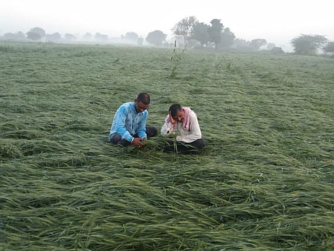 अवकाळीचा पावसाचा नगाव परिसलाला तडाखा