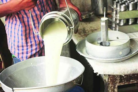 Swabhimani Shetkari Sanghatana will carry out milk agitation