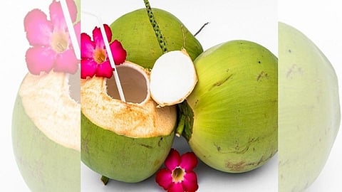 नारळाचं पाणी प्या अन् रहा कूल; जाणून घ्या फायदे