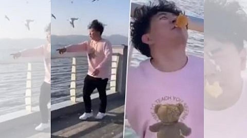 स्टाइलमध्ये देत होता पक्षांना वेफर्स;  त्यानंतर जे घडलं ते पाहून हसू होईल अनावर