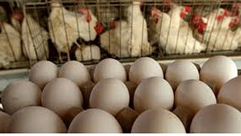 अंडी वाहतूक करणाऱ्या ट्रक चालकाला पोलिसांकडून मारहाण