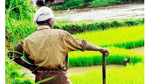 शेतकऱ्यांसाठी मोठी आनंदाची बातमी, सर्व योजनांसाठी आता...