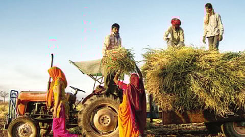 farmer