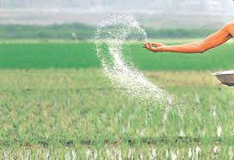 given relief to farmers by selling fertilizers in kolhapur district