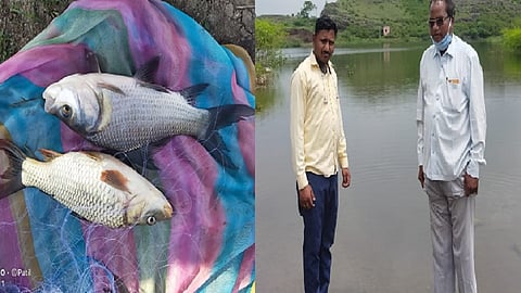 fish stolen pazar 1.jpg