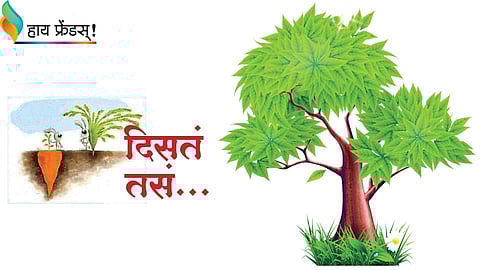 sai write article in SmartSobati