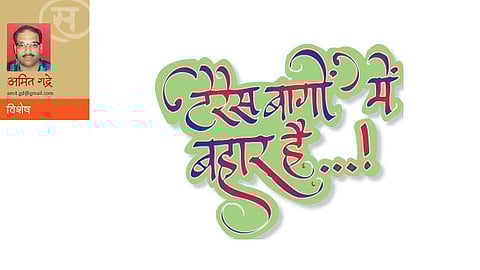 ‘टेरेस बागों’मे बहार है! (अमित गद्रे)