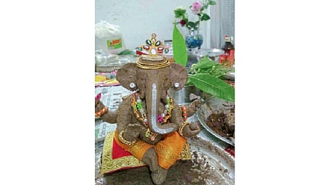 गणपतीच्या मातीतून फुलविली परसबाग