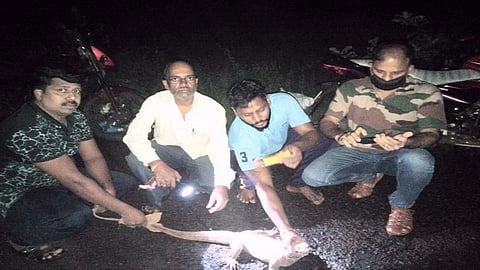 Bengal monitor 10 kg was found in a house in Kokan