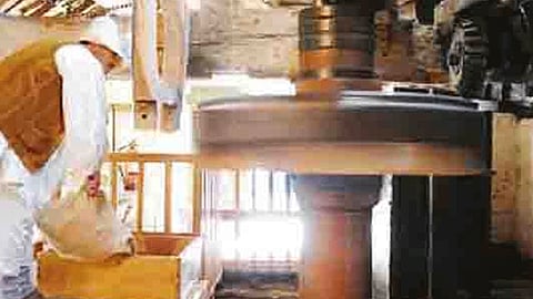 quarantine person work in flour mill kolhapur