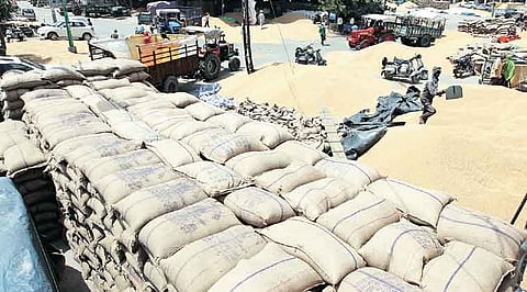 Don't believe the rumors, there is no food shortage in the Amravati region