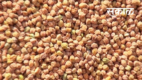 gram registration begins in yavatmal