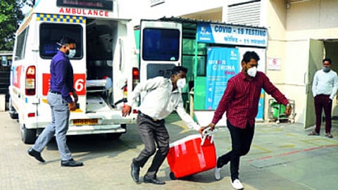 green coridor kidney.jpg