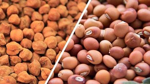 नागपूर बाजारात हरभरा, तुरीच्या दरांत घसरण