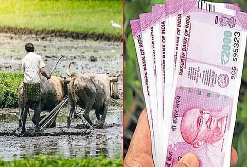 49 thousand farmers to get help before Diwali in yavatmal