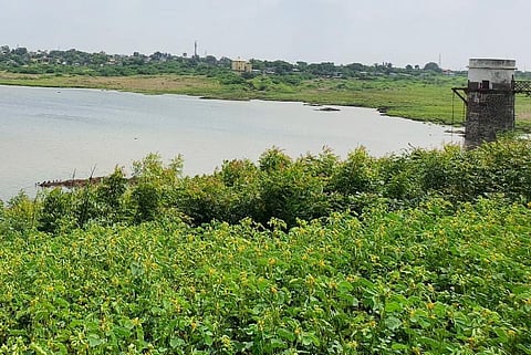 hipprga-talav-solapur_201910312532.jpg