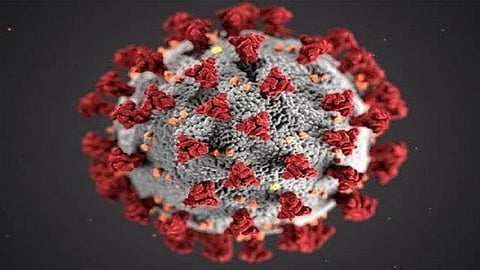 संग्रहित