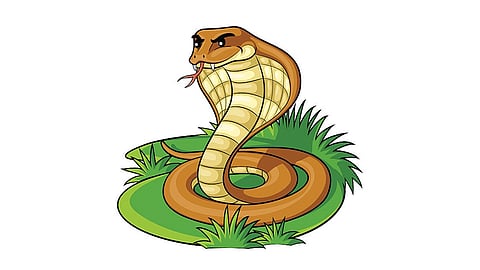 पिंपरी-चिंचवडमधील गुरुजनांना दंश करणाऱ्या 'नागोबां'ना हटवा