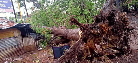 Paper dealer dead in pre monsoon heavy rain at kolhapur