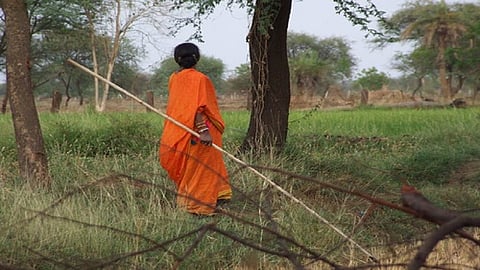 jhadi.jpg