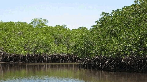 new tourism plans in ratnagiri