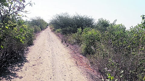 karadi dam in buldana district.jpeg
